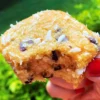 Bolinho de Coco Fit Sem Açúcar Sem Glúten Sem Leite Belive