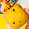 Bolinho de Laranja Fit Sem Açúcar Sem Glúten Sem Leite Belive