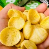 Salgadinho de Milho sabor Cebola e Salsa Sem Glúten Sem Leite Belive